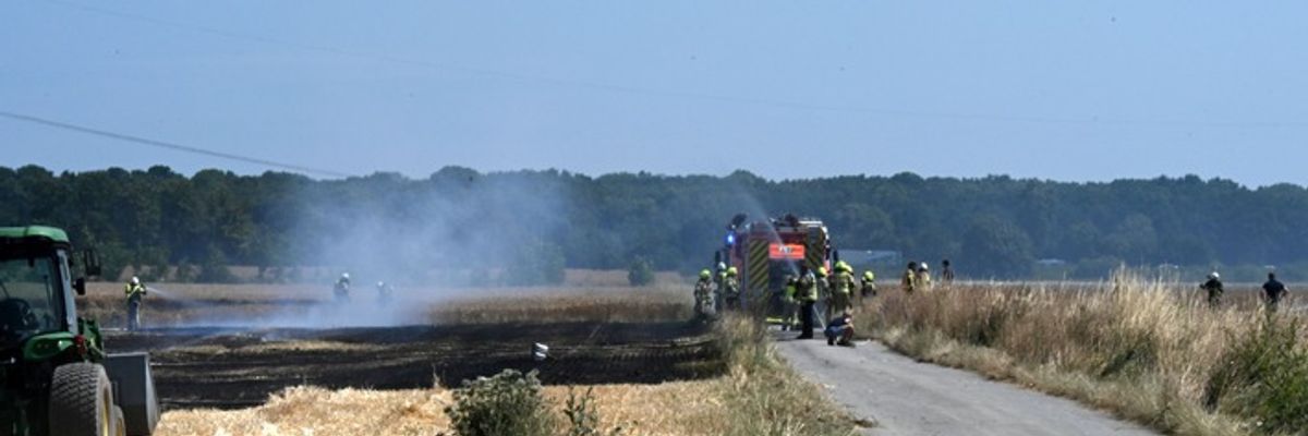 FW Pulheim: Sinnersdorf: Feldbrand konnte mit vereinten Kräften zügig gelöscht werden