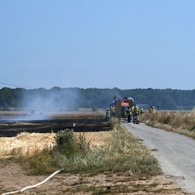 FW Pulheim: Sinnersdorf: Feldbrand konnte mit vereinten Kräften zügig gelöscht werden