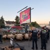 FW Weinheim: Schafe auf der Flucht beschäftigen Polizei, Feuerwehr und Bauhof