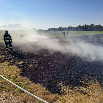 Feuerwehr Kalkar: Flächenbrand an der NATO-Rampe in Grieth erfolgreich gelöscht