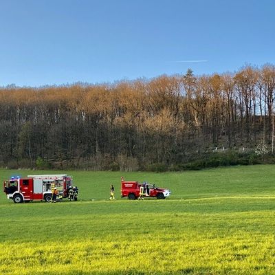 FW-MK: Waldbrand in Letmathe
