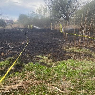FW Konstanz: Vegetationsbrand