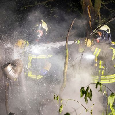 FW-MK: Feuer in einem Waldstück am Duloh