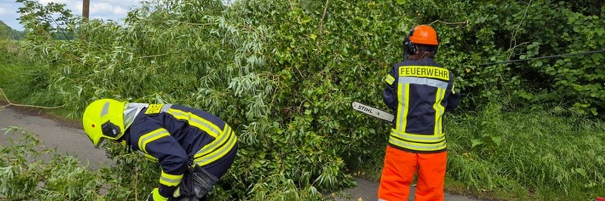 FW Flotwedel: Baum blockiert Fahrbahn und Telefonleitung im Lütersweg