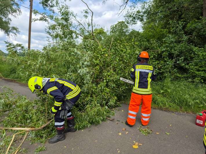 FW Flotwedel: Baum blockiert Fahrbahn und Telefonleitung im Lütersweg