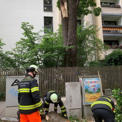 FW-M: Herabfallender Ast beschädigt mehrere Fahrzeuge (Neuhausen)