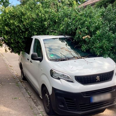 FW-M: Umgestürzter Baum erfordert schweres Gerät (Lochhausen)