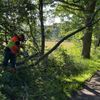 FW-AUR: Baum droht auf Radweg zu fallen