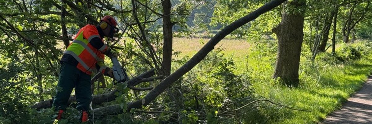 FW-AUR: Baum droht auf Radweg zu fallen