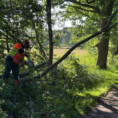 FW-AUR: Baum droht auf Radweg zu fallen
