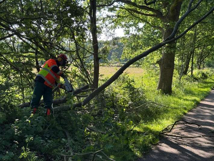 FW-AUR: Baum droht auf Radweg zu fallen