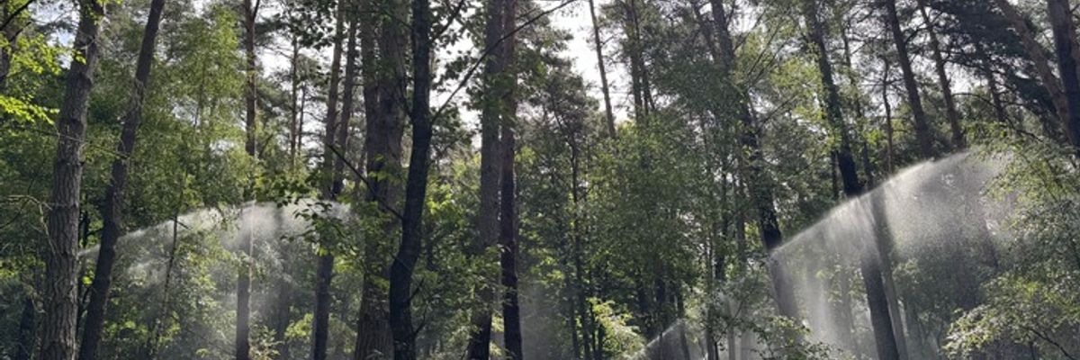 FW Rösrath: Abschlussmeldung zum Waldbrand in der Wahner Heide - Einsatz nach vielen Stunden beendet