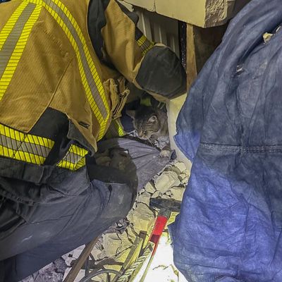 FW-E: Katze in Zwangslage - Feuerwehr befreit "Schreihals" nach dreistündigem Einsatz
