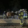 FW-DO: Auffahrunfall mit 5 Fahrzeugen auf der A45 - Pferdeanhänger umgekippt.
