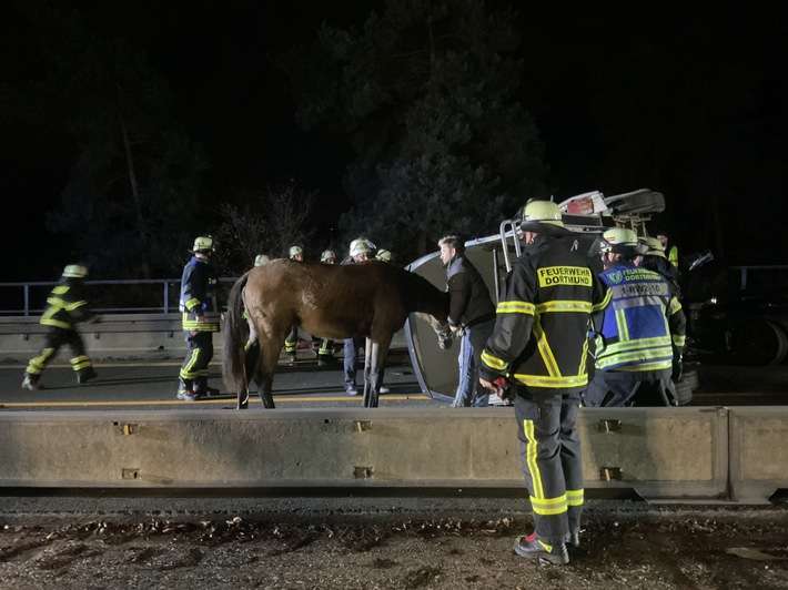 FW-DO: Auffahrunfall mit 5 Fahrzeugen auf der A45 - Pferdeanhänger umgekippt.