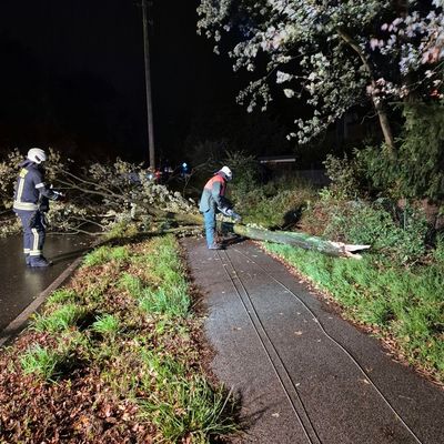 FW Dinslaken: Sturmtief Luise sorgte für Einsätze bei der Feuerwehr Dinslaken