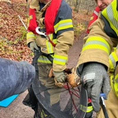 FW Stuttgart: Tierrettung durch die Wasserrettungseinheit - Strömungsretter der Feuerwehr im Einsatz - Kauz gerettet und dem Tiernotdienst übergeben