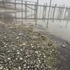 FW Allensbach: OEW2 Bodensee Öl Uferbereich