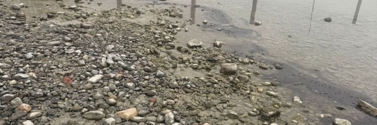 FW Allensbach: OEW2 Bodensee Öl Uferbereich