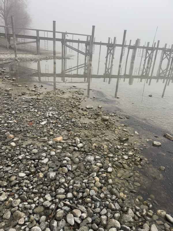 FW Allensbach: OEW2 Bodensee Öl Uferbereich