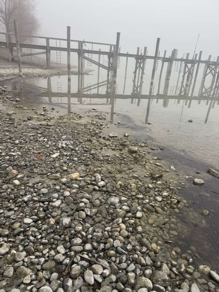 FW Allensbach: OEW2 Bodensee Öl Uferbereich