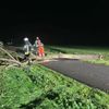 FW Sonsbeck: Einsatzbilanz des stürmischen Herbstwochenendes