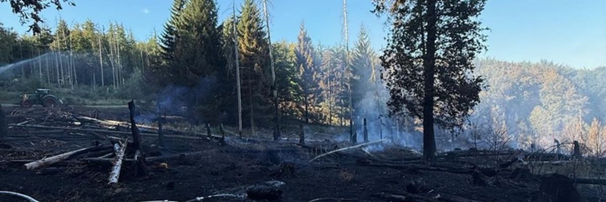 FW Kreis Soest: Mehr als 100 Einsatzkräfte weiterhin beim Waldbrand im Einsatz / Kräftezehrende Arbeiten bei hohen Temperaturen