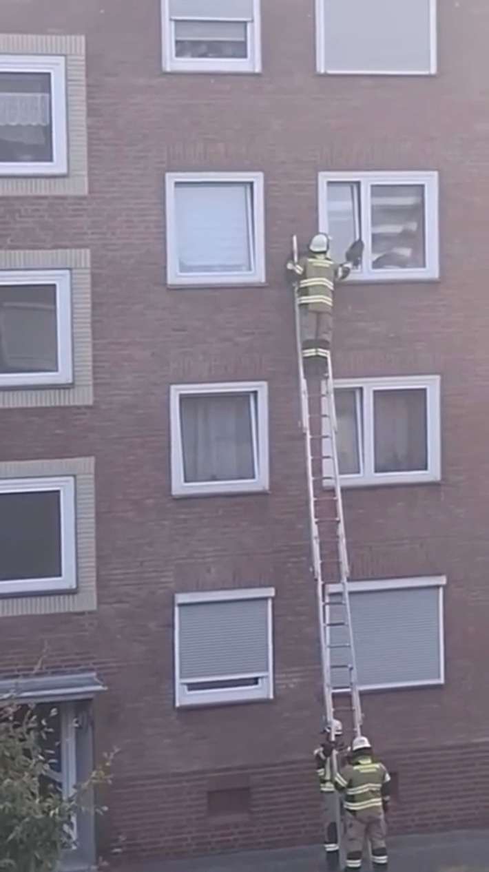 FW Voerde: Die Feuerwehr Voerde rettete Katze aus misslicher Lage