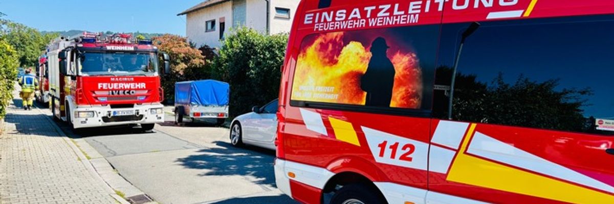 FW Weinheim: Trockenheit sorgt für lose Äste am Dürreplatz