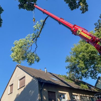 FW-DO: Ast auf Hausdach sorgt für aufwendigen Feuerwehreinsatz in Dortmund-Husen
