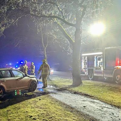FW-OLL: PKW kollidiert mit Baum und bringt diesen zu Fall