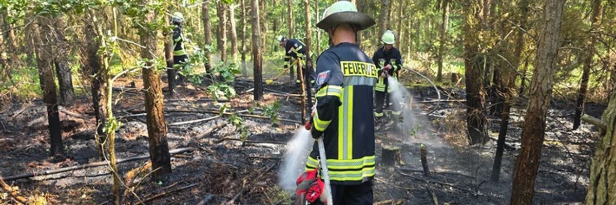 FW Celle: Hohes Einsatzaufkommen bei hohen Temperaturen - u.a. Waldbrand, Pkw-Brand und Heckenbrand!