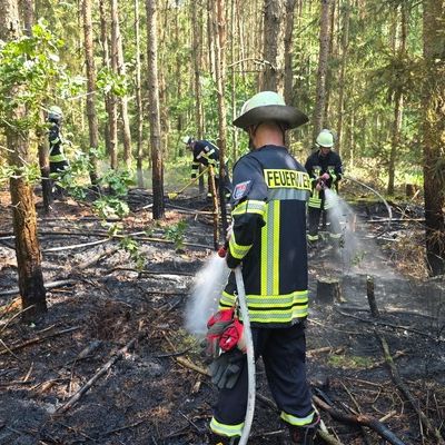 FW Celle: Hohes Einsatzaufkommen bei hohen Temperaturen - u.a. Waldbrand, Pkw-Brand und Heckenbrand!