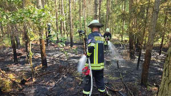 FW Celle: Hohes Einsatzaufkommen bei hohen Temperaturen - u.a. Waldbrand, Pkw-Brand und Heckenbrand!
