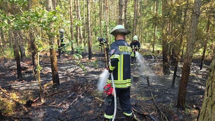 FW Celle: Hohes Einsatzaufkommen bei hohen Temperaturen - u.a. Waldbrand, Pkw-Brand und Heckenbrand!