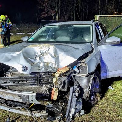 FW-OLL: PKW kollidiert mit Baum und bringt diesen zu Fall