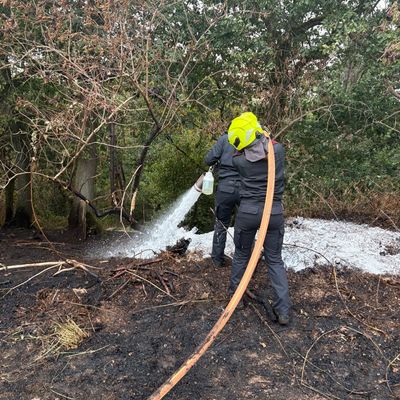 FW-Heiligenhaus: Vegetationsbrand im Stadtteil Isenbügel - rund 50 Einsatzkräfte über drei Stunden im Einsatz