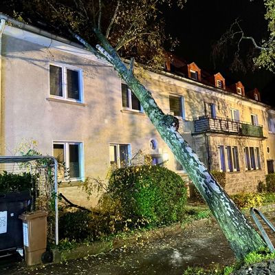 FW-DO: Sturmtiefs "Luise" und "Manja": 168 wetterbedingte Einsätze seit Freitag / Baum auf Mehrfamilienhaus in Körne