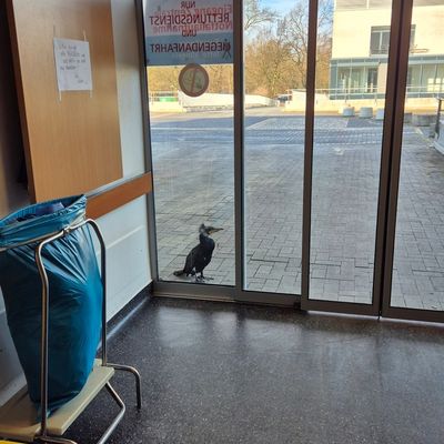 FW-HB: Ein tierischer Ausnahmefall in der Notaufnahme