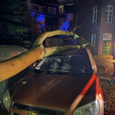 FW-Velbert: Erste Herbststürme sorgen für zahlreiche Feuerwehreinsätze in Velbert