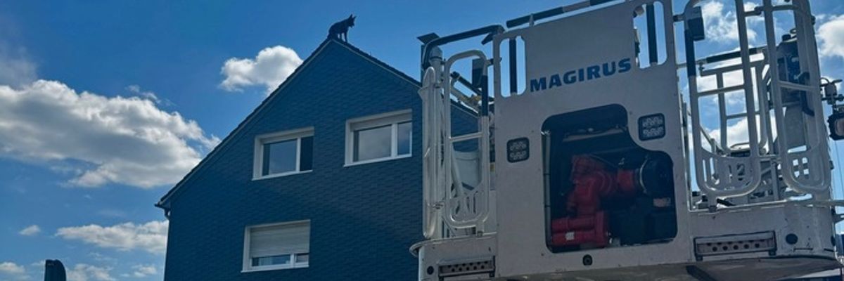 FW-RS: Hund auf Hausdach sorgt für ungewöhnlichen Feuerwehreinsatz