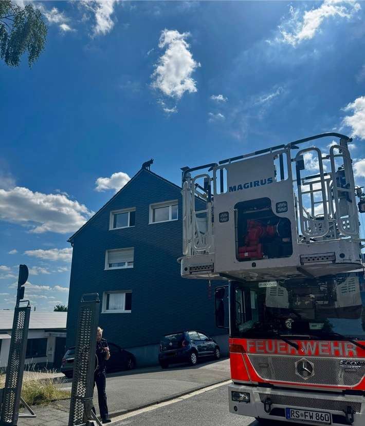 FW-RS: Hund auf Hausdach sorgt für ungewöhnlichen Feuerwehreinsatz