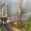 FW Stuttgart: Vegetationsbrand am Bahnhof Untertürkheim führt zu Gleissperrungen