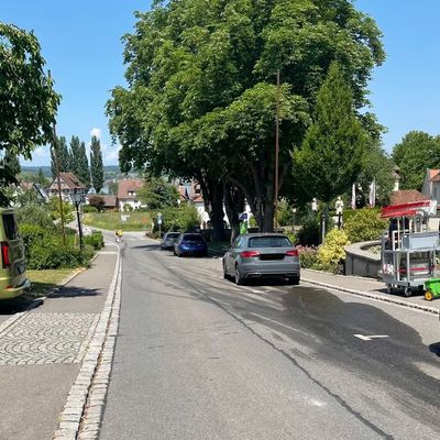 FW Reichenau: Ölspur im Ortsgebiet - 20.06.2026