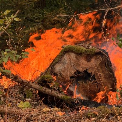 FW LK Neunkirchen: Waldbrand im Hosterwald: Einsatz nach 78 Stunden beendet