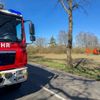 FW Flotwedel: Baumunfall bei Langlingen / Feuerwehr befreit Fahrer aus PKW