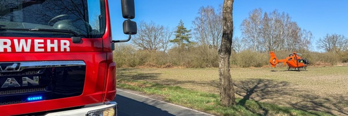 FW Flotwedel: Baumunfall bei Langlingen / Feuerwehr befreit Fahrer aus PKW