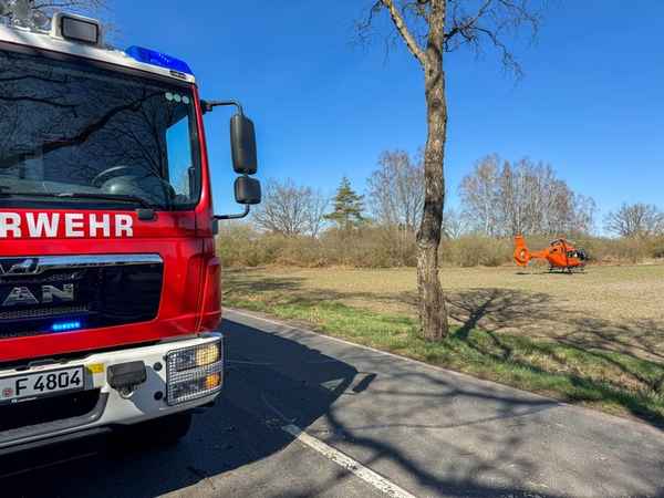 FW Flotwedel: Baumunfall bei Langlingen / Feuerwehr befreit Fahrer aus PKW