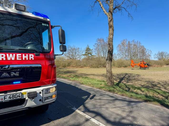 FW Flotwedel: Baumunfall bei Langlingen / Feuerwehr befreit Fahrer aus PKW