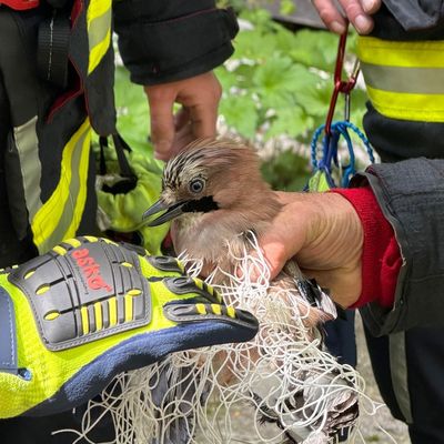 FW-M: Wochenendrückblick der Feuerwehr München für den 15. Mai bis 17. Mai 2026